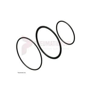 Chicago Pneumatic O Ring Part C100131 - Image 1