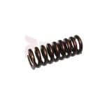 APT Plunger Spring Part 125