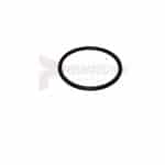 APT Throttle Bushing "O" Ring Part 1269