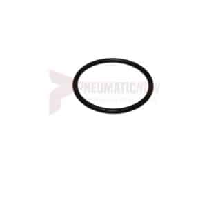 APT Throttle Bushing "O" Ring Part 1269