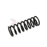 Tamco / Toku Throttle Valve Spring Part 130801026