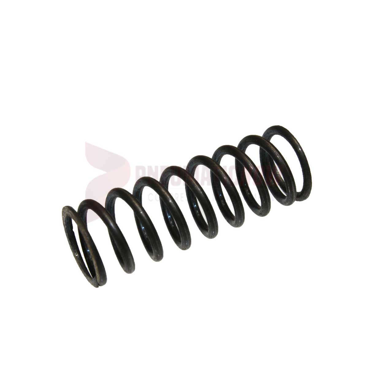 Tamco / Toku Throttle Valve Spring Part 130801026
