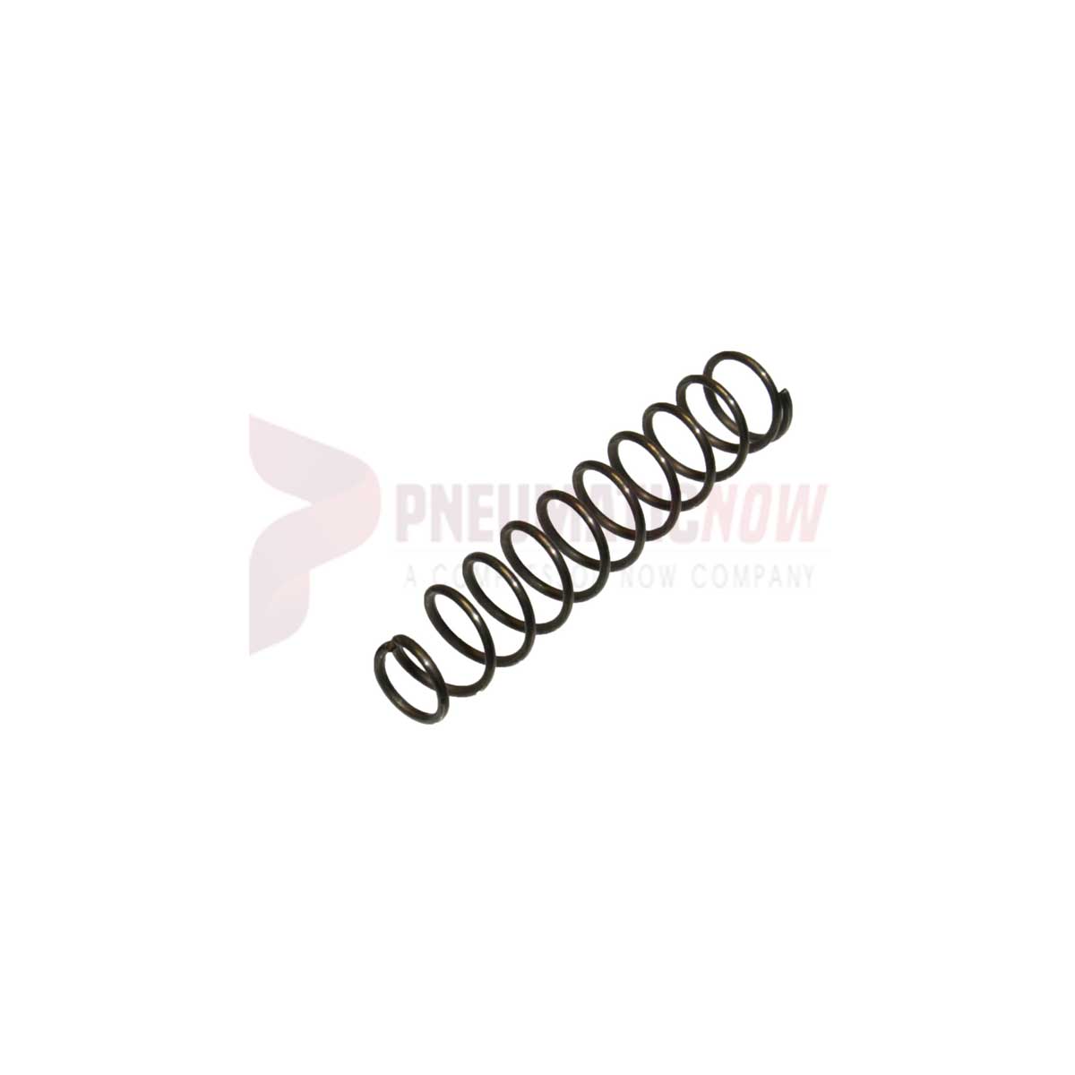 Tamco / Toku Throttle Valve Spring Part 130801032