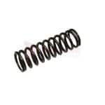 Tamco / Toku Throttle Valve Spring Part 130801036