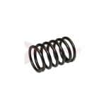 Tamco / Toku Throttle Valve Spring Part 130801078