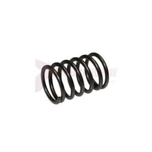 Tamco / Toku Throttle Valve Spring Part 130801078