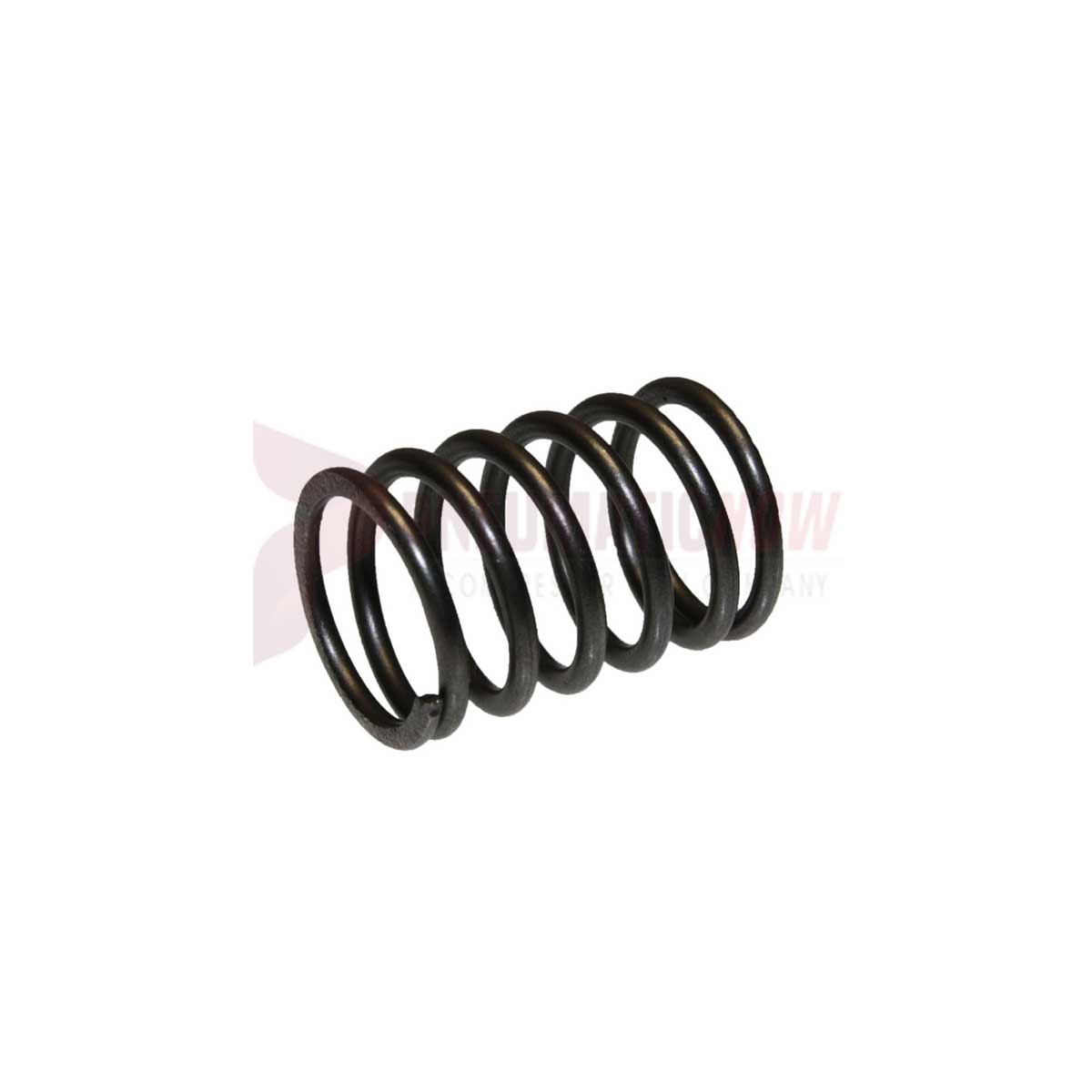 Tamco / Toku Throttle Valve Spring Part 130801078