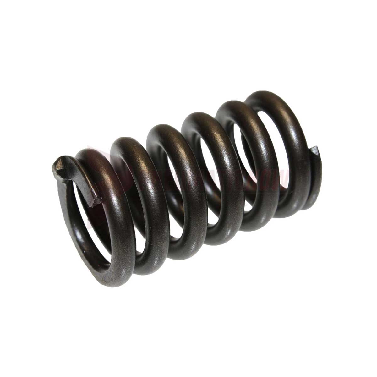 Tamco / Toku Retainer Spring Part 130803003