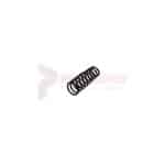 Tamco / Toku Plunger Spring Part 130803006