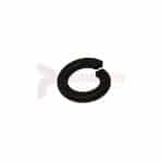 Tamco / Toku Lock Washer Part 131301116