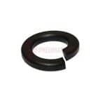 Tamco / Toku Retainer Bolt Lock Washer Part 131303048