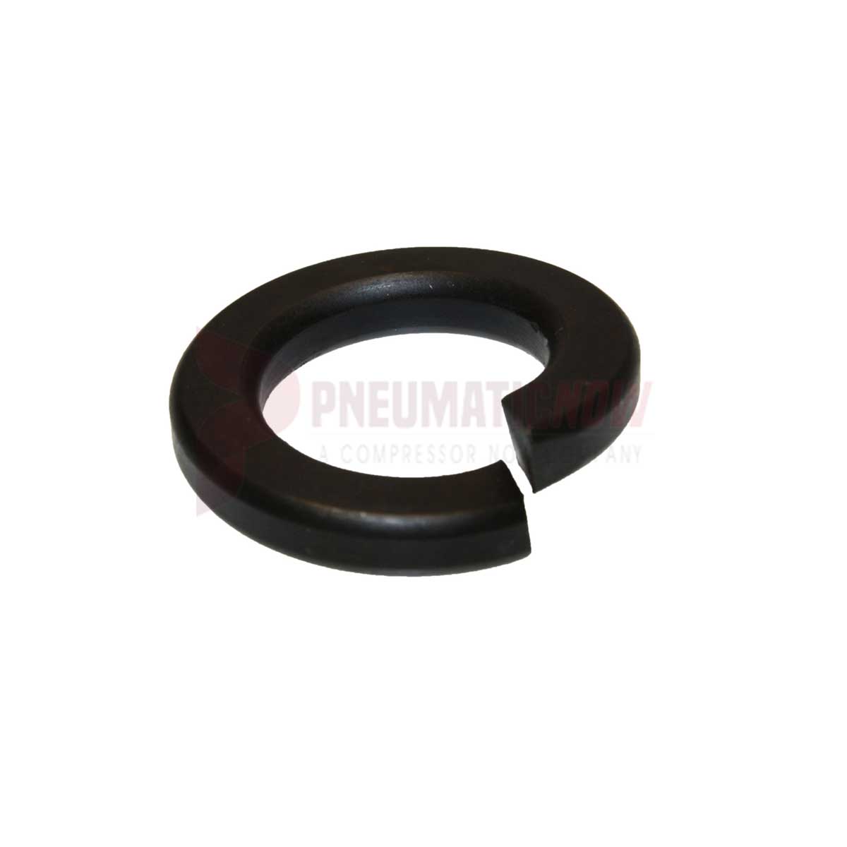 Tamco / Toku Retainer Bolt Lock Washer Part 131303048