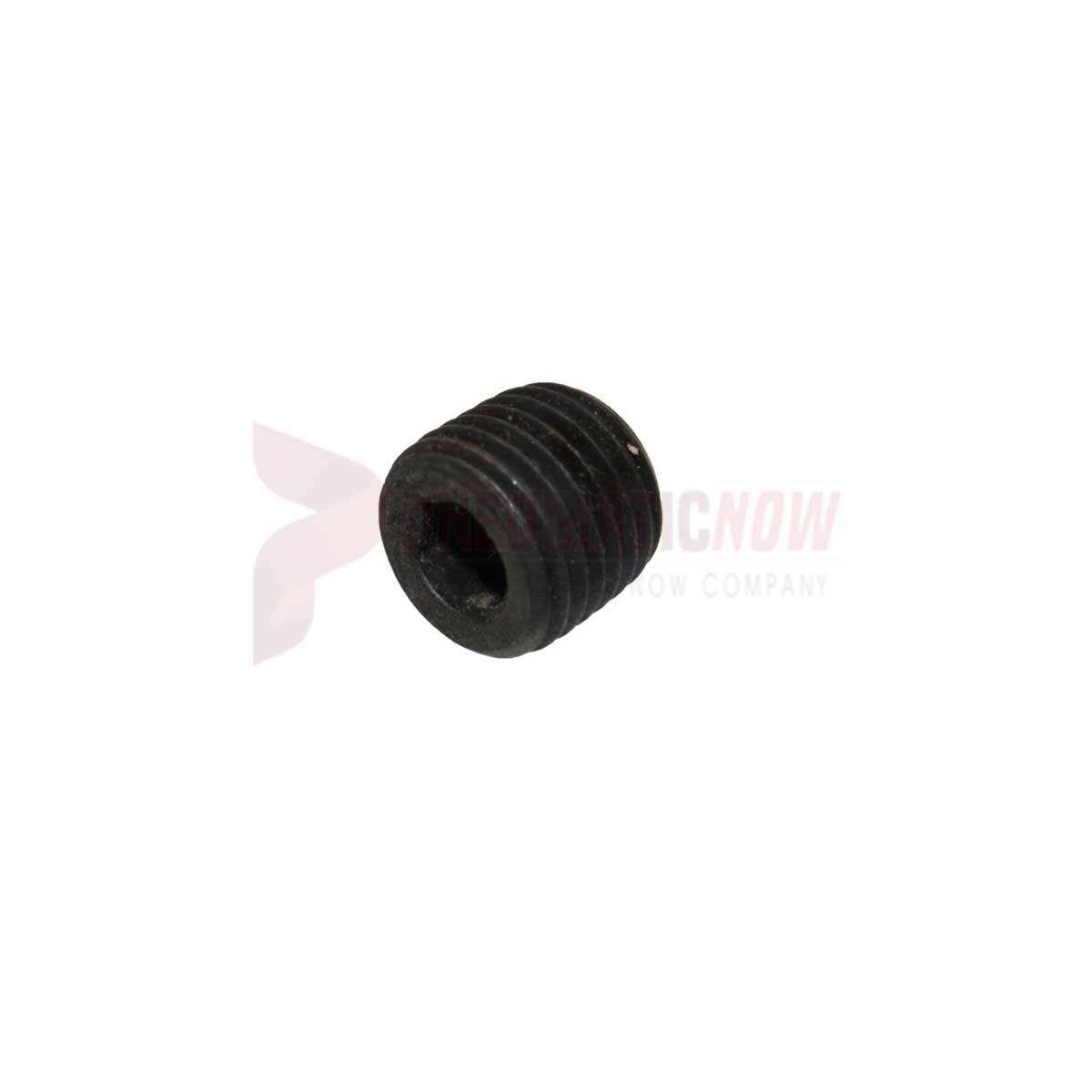 Tamco / Toku Oil Plug For Backhead 1/4" Npt Part 134903002