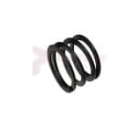 APT Exhaust Valve Spring Part 1637