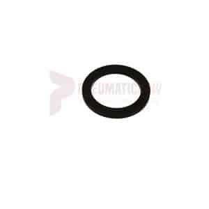 APT Exhaust Valve Washer Part 1638
