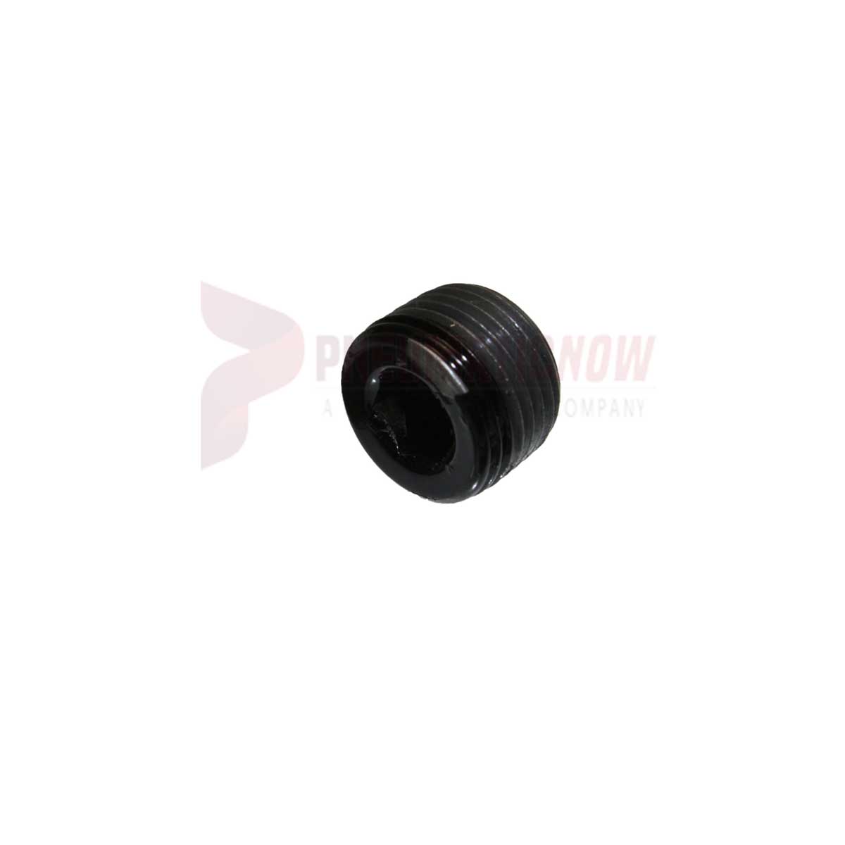 APT Oil Plug Part 17642