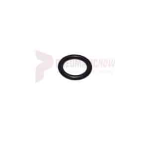APT Throttle Valve "O" Ring Part 17779