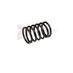 APT Throttle Valve Spring Part 1789
