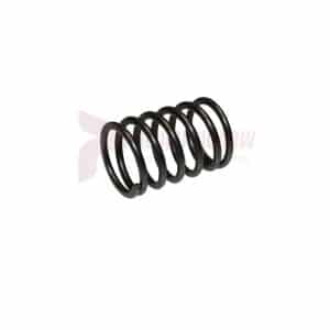 APT Throttle Valve Spring Part 1789