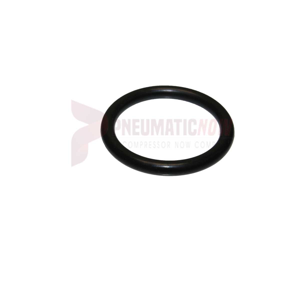 APT Fill Plug "O" Ring Part 18110