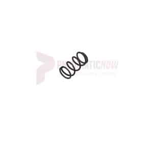 APT Throttle Valve Spring Part 18700