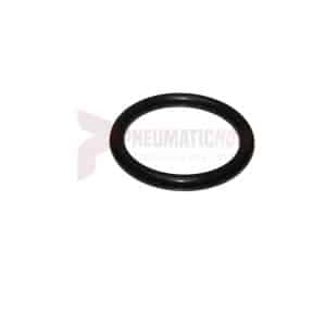 APT Fill Plug "O" Ring Part 18740