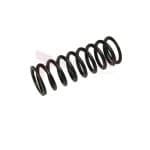 APT Throttle Valve Spring Part 2000