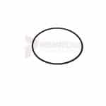 APT Backhead "O" Ring Part 3090