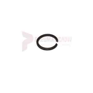 APT Throttle Valve Lock Ring Part 3225
