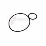 APT Backhead Double "O" Ring Part 6825