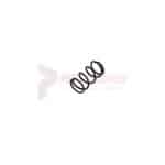 Tamco / Toku Throttle Valve Spring Part S832078