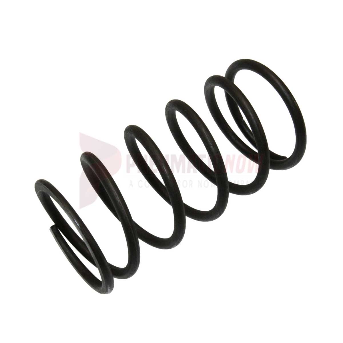 Tamco / Toku Needle Spring Part S834044