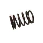Texas Pneumatic Tools Spring For TX1000Tsl (2 Per Tool) Part TX-20044TSL