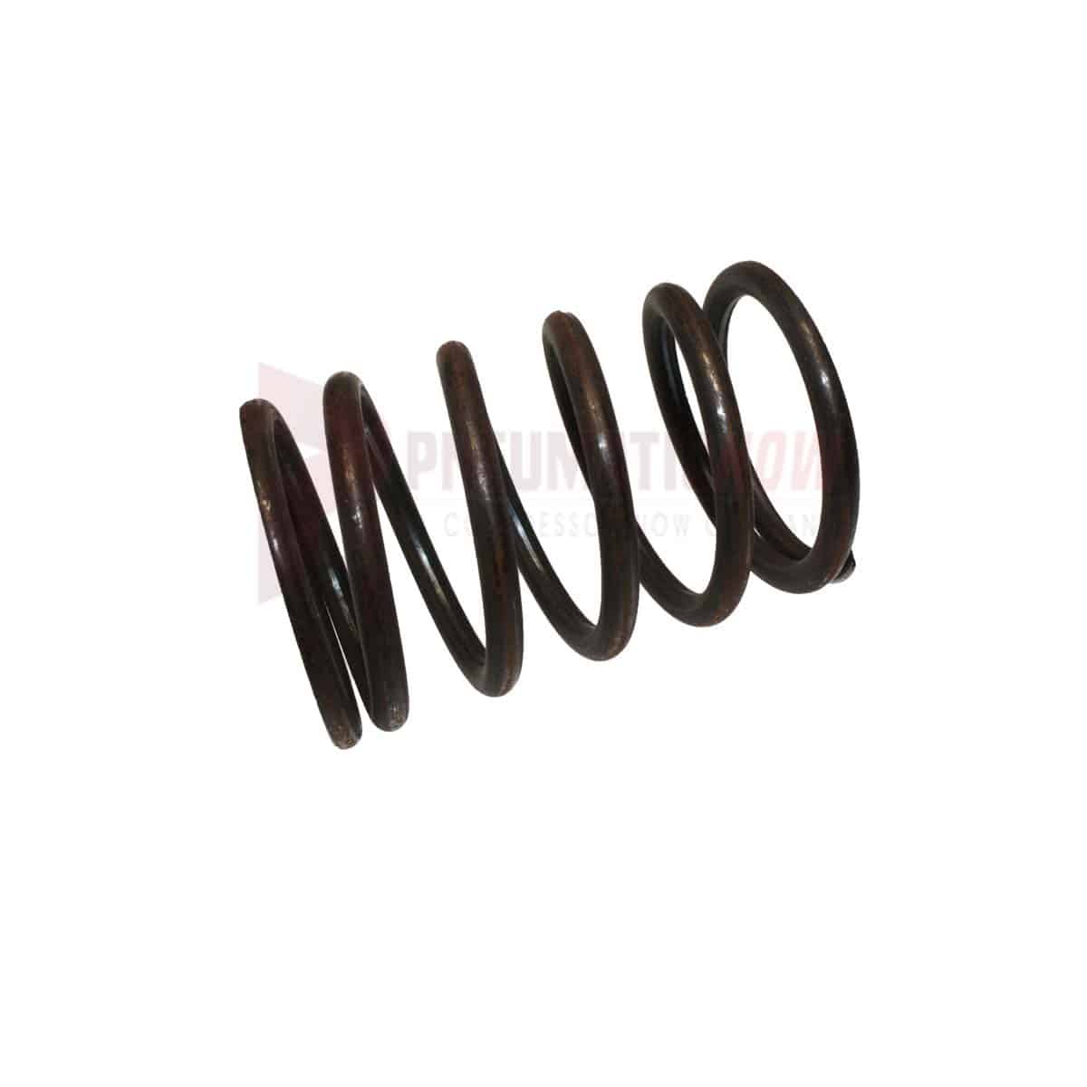 Texas Pneumatic Tools Spring For TX1000Tsl (2 Per Tool) Part TX-20044TSL