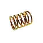 Tamco / Toku Throttle Valve Spring Part Y10430450