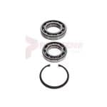 DRIVE SHAFT BRNG KT FOR ZR ZT OIL FREE COMPRESSORS